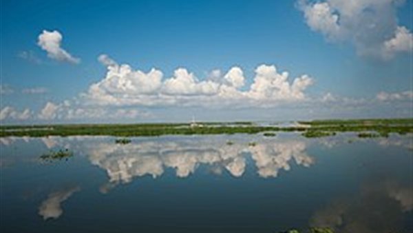 محمية أشتوم الجميل