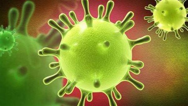 دمياط تسجل 9 إصابات