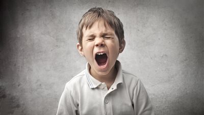 السلوك العدواني 