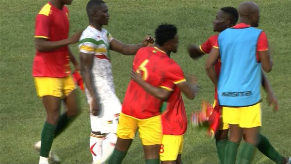 غينيا تفوز على مالي