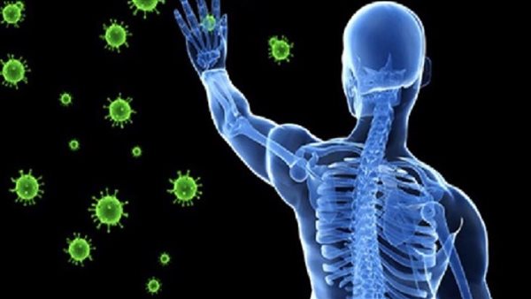 فيروس كورونا- أرشيفية