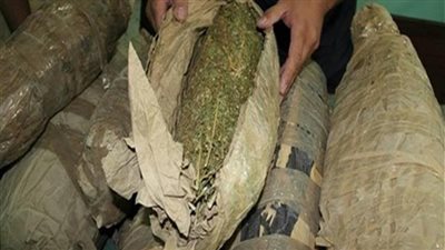 ضبط عاطل بحوزته كمية من مخدر البانجو في حملة أمنية بكفر الشيخ