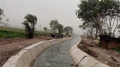 تأهيل 1300 كيلومتر من الترع.. وتحويل 250 ألف فدان لأنظمة الري الحديث