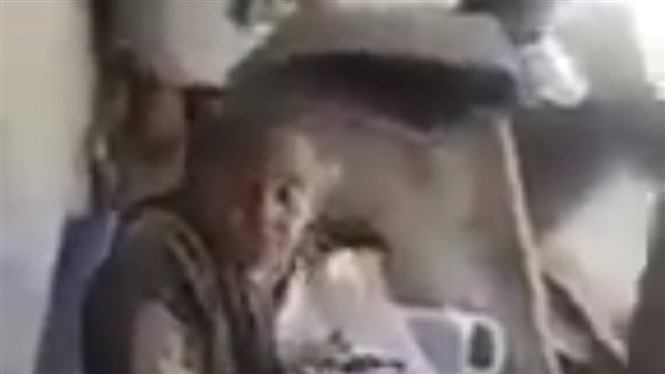 سيدة تصرخ من داخل