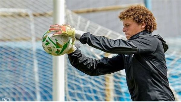 أحمد نادر السيد 