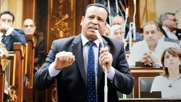  النائب محمود الضبع