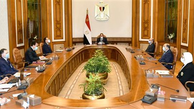 السيسي يوجه بصرف معاش ثابت لمصابي حادث قطاري سوهاج