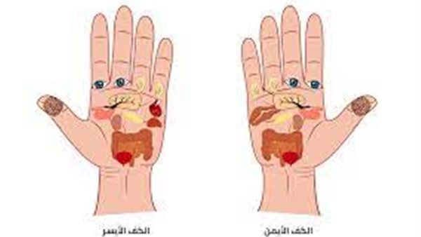 علم المنعكسات