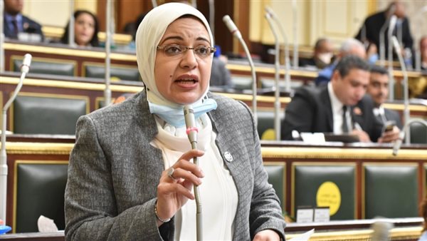 النائبة ريهام عبد