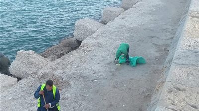 ضبط نباش متلبسًا بسرقة حاويات شركة نهضة مصر للنظافة فى الإسكندرية