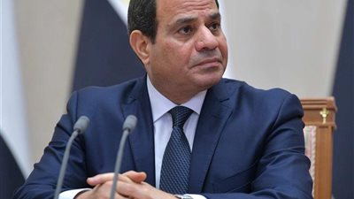السيسي: ننسق مع الأشقاء في السودان وسنعلن للعالم عدالة قضيتنا وحقوقنا المائية