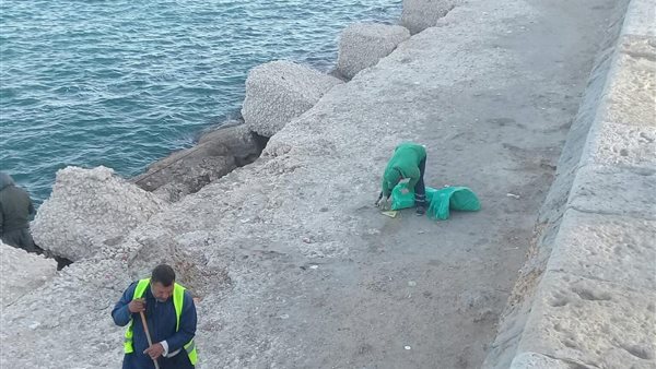 عمال نهضة مصر بالإسكندرية