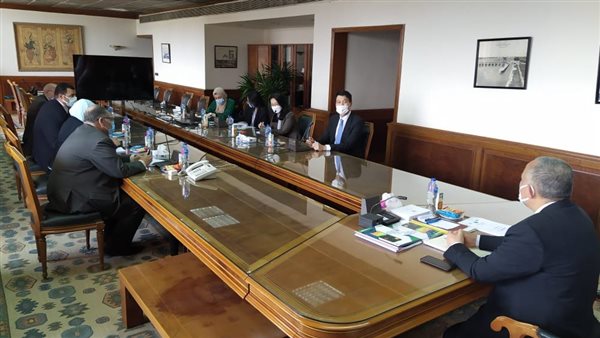 لقاء مصري كوري حول