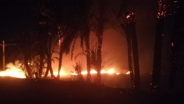 صورة من الحريق