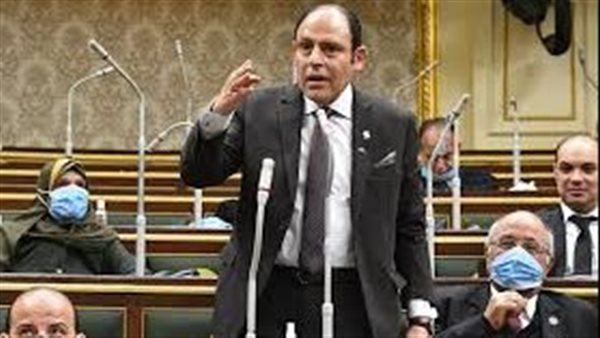 النائب رياض عبد الستار