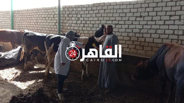الطبيبة أثناء عملية
