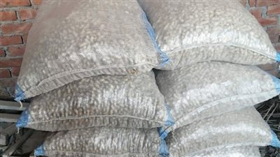 ضبط 10 أطنان فول غير صالحة للاستهلاك الآدمي قبل طرحها بالأسواق في الغربية