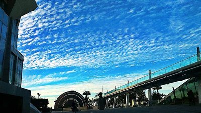 حفلات غنائية وعروض مسرحية.. تعرض على عروض شهر أبريل بمركز الفنون بمكتبة الإسكندرية