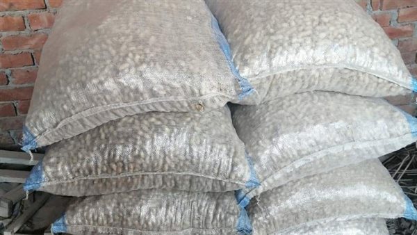 فول مستورد غير صالحة