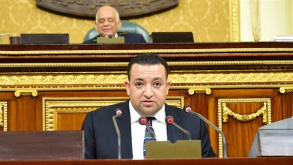 النائب تامر عبد القادر