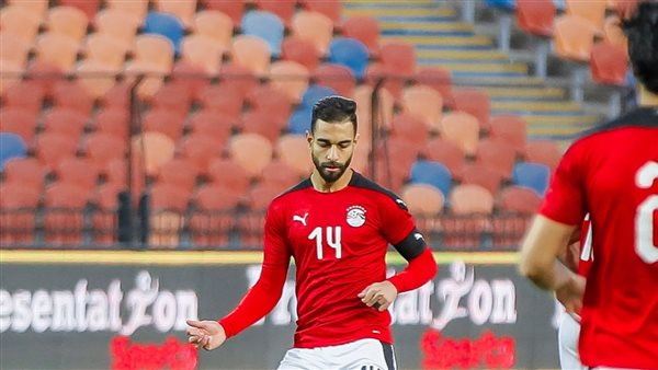 عمرو السولية