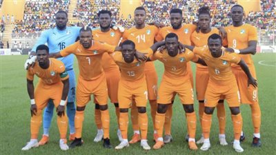استبعاد حارس مرمى منتخب كوت ديفوار من كأس الأمم بسبب المنشطات