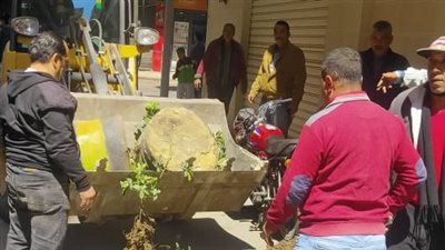 إعدام لحوم فاسدة وتحرير 47 محضرًا متنوعًا بشرق الإسكندرية