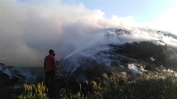 حريق قش الأرز - أرشيفية