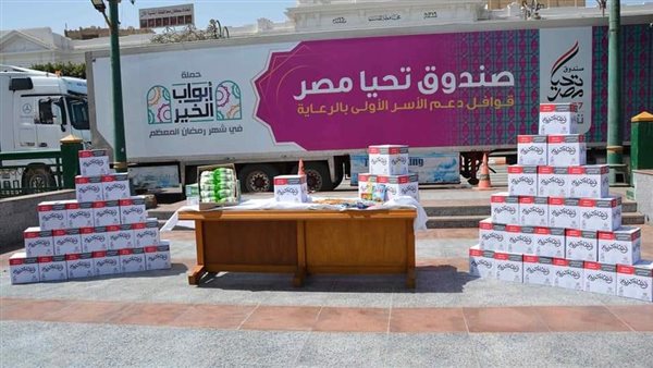 صندوق تحيا مصر 