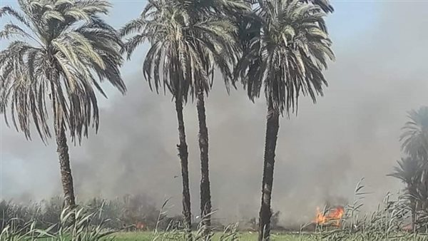 جانب من الحريق