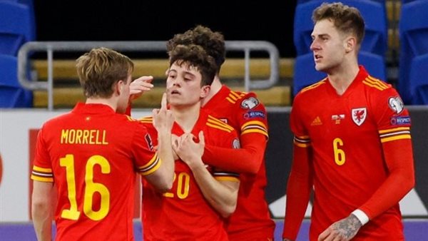 منتخب بلجيكا (لقطة