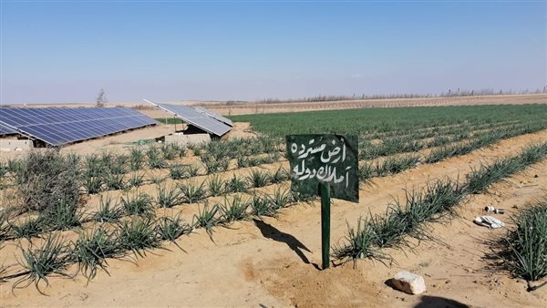 استرداد أراضي أملاك