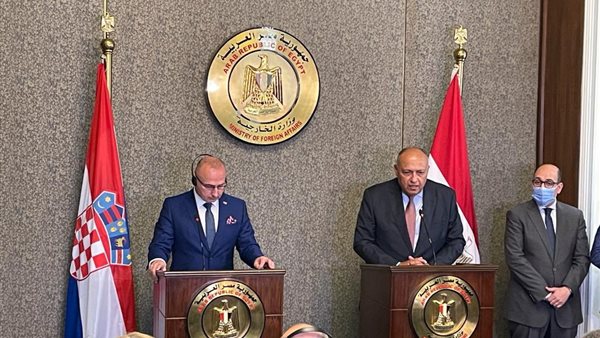 وزير الخارجية المصري