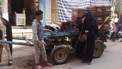 بمكبرات صوت وعربية كارو.. فرق طبية بالإسكندرية تدعو للمشاركة بحملة 