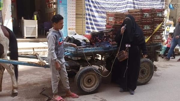 نداءات للمشاركة بحملة