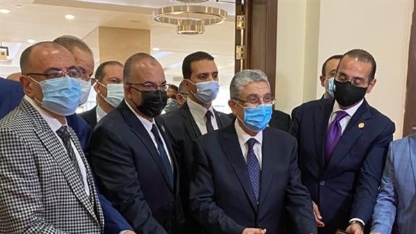 وزير الكهرباء 