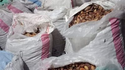 تناولوا تمرا مُغطى بأقراص الغلة.. تسمم 5 أشخاص من أسرة واحدة في سوهاج