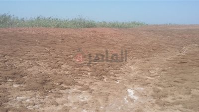 تل الجصة وسط بحيرة المنزلة.. يد التطوير تعيده إلى حضن الآثار