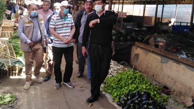 مرافق الأقصر تضبط 140 مخالفة في حملة مكبرة