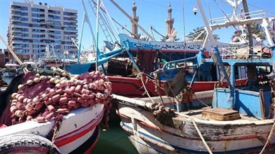 مصرع وإصابة 5 صيادين بتسمم غذائي بعد تناول وجبة 