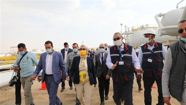 الدكتورة ياسمين فؤاد