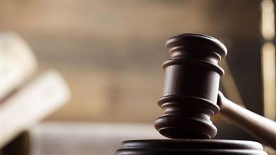 غدًا .. نظر عدم دستورية اكتساب أبناء الأم المصرية الجنسية