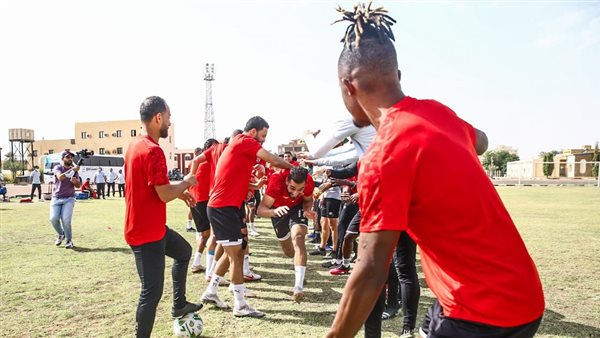 عمرو السولية