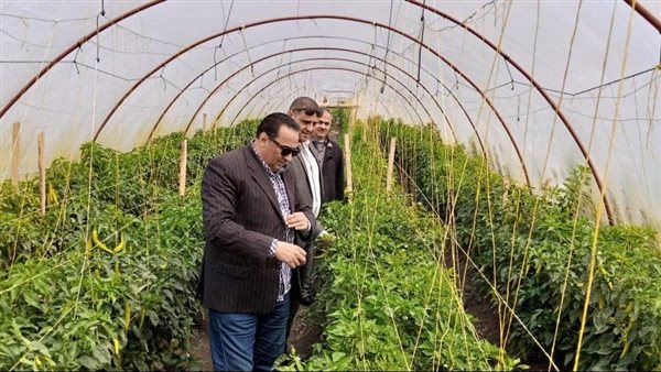 الصوبات الزراعية