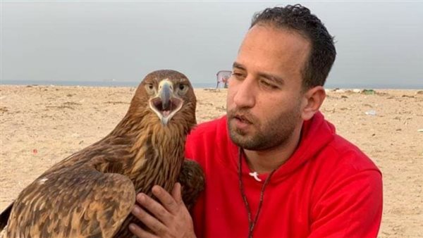 الطائر المفقود 