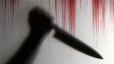 خلاف مع أمه.. مقتل شاب على يد شقيقه في المنوفية