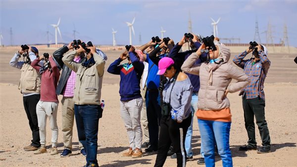 المشاركين ببرامج
