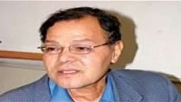 الناقد الفني محمود