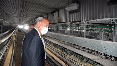 محافظ القليوبية يتفقد مشروع الـ30 مليون بيضة بالخانكة