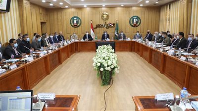 إطلاق أسماء 17 شهيدًا على مدارس وشوارع بالمنوفية